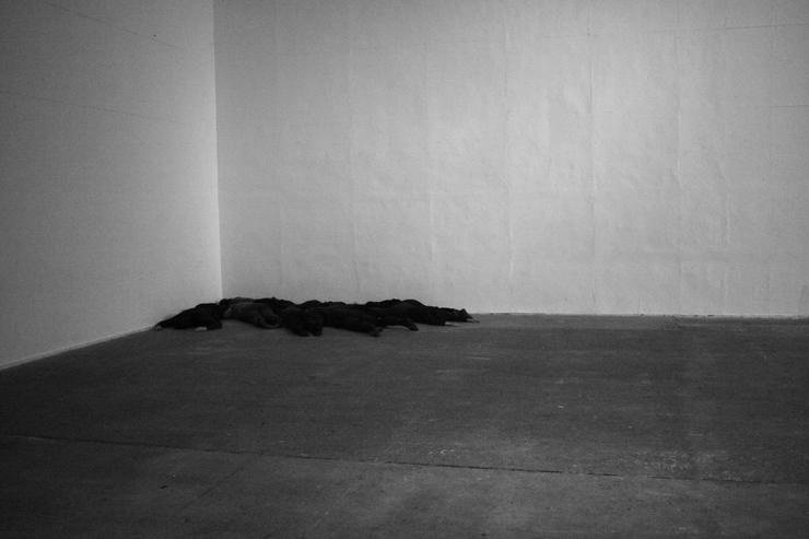 Silhouette&nbsp;(2015) presented by Ice Box Gallery, Philadelphia, PA;.&nbsp;Photo Credit Walsh Hansen.